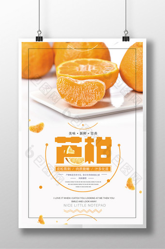 小清新芦柑水果海报图片