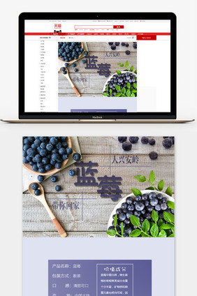 小清新香甜蓝莓淘宝天猫详情页PSD模板