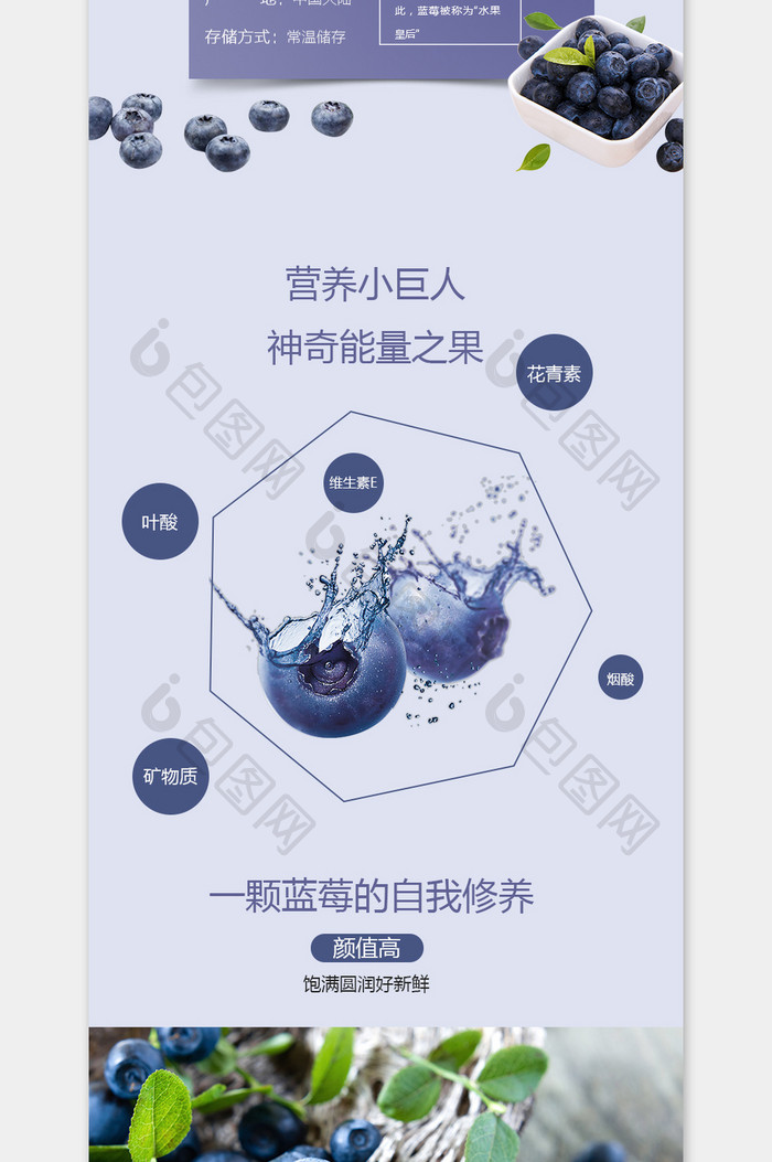 小清新香甜蓝莓淘宝天猫详情页PSD模板