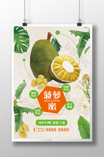 小清新水果菠萝蜜宣传海拔图片