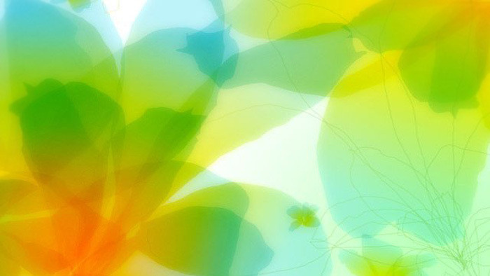 快手抖音俏皮欢快萌宠短视频配乐