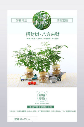 简约小清新植物风格客厅三联画详情模板设计