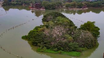 鸟<strong>群鸟</strong>岛惠州西湖航拍