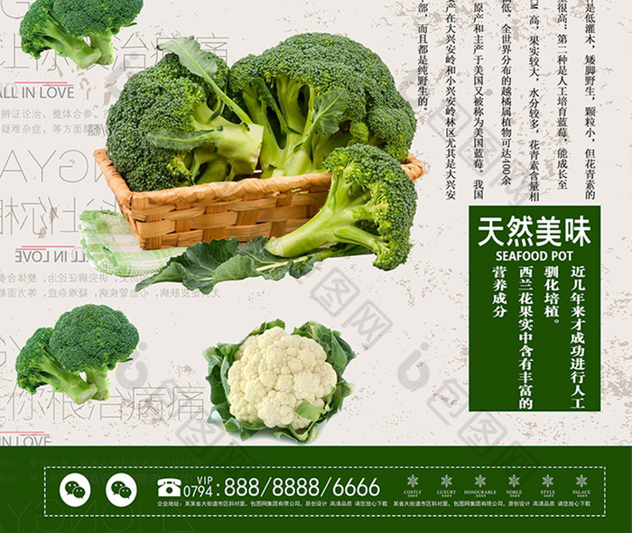 复古西兰花蔬菜促销宣传海报