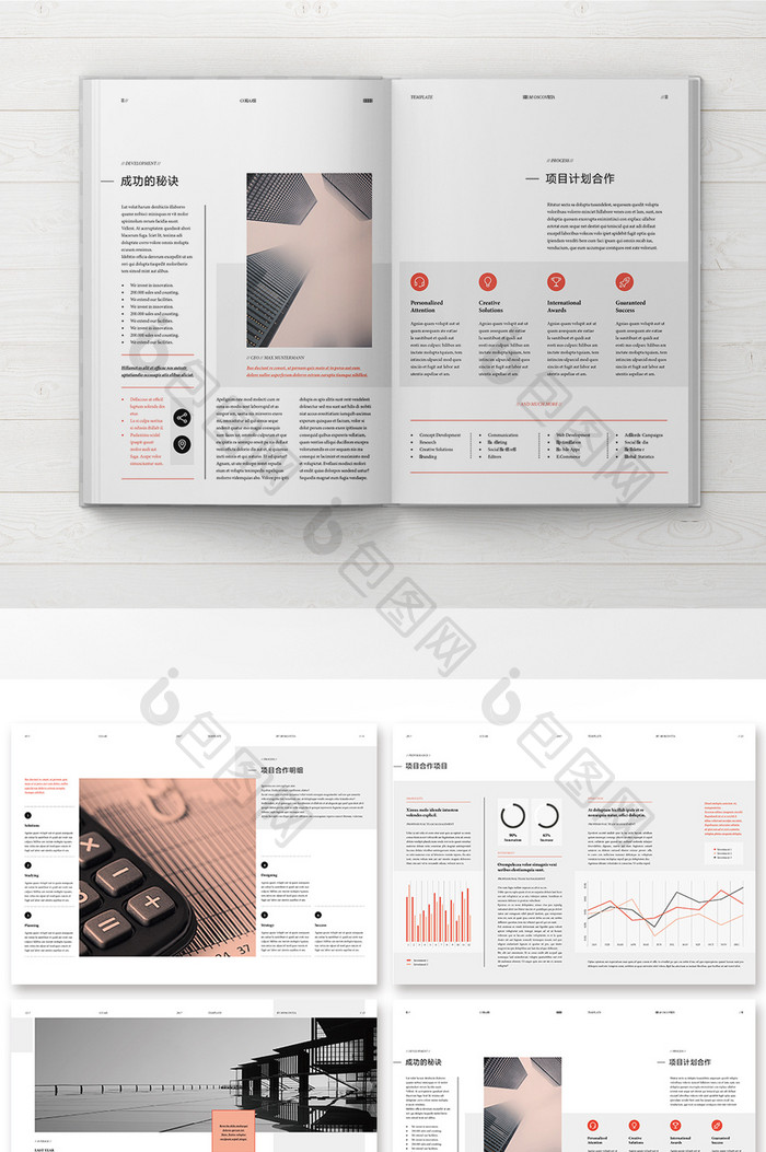 简约时尚大气公司企业项目计划书画册整套