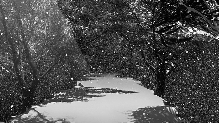 场景-路-下雪的小路