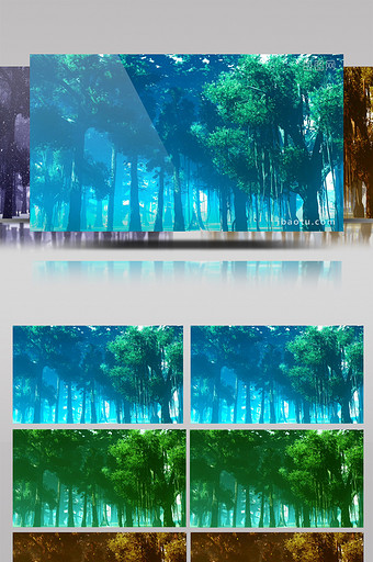 场景-树林-四季变化图片