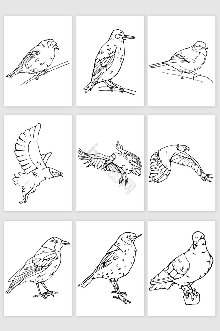 手绘小鸟