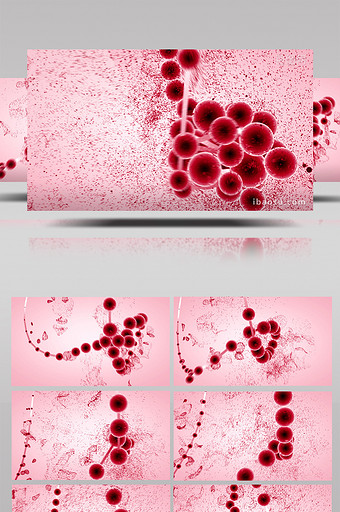微观震撼血红细胞粒子视频素材图片