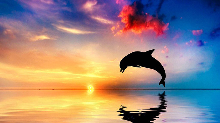 节奏感强愉快动感的背景音乐