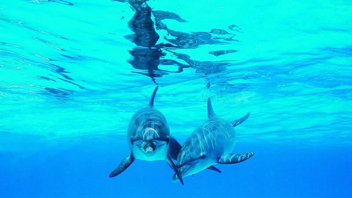 悲伤舒缓的背景音乐