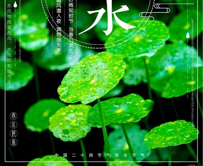 雨水二十四节气海报