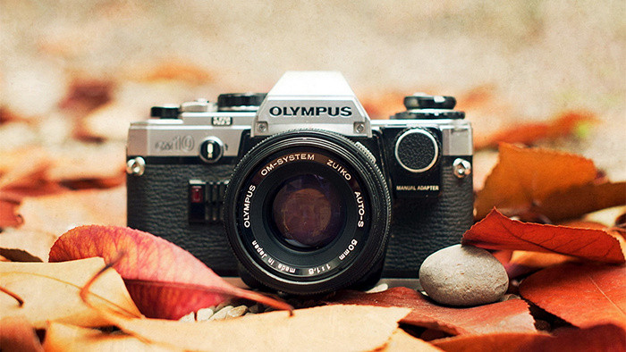 平静正常的咔擦相机快门声