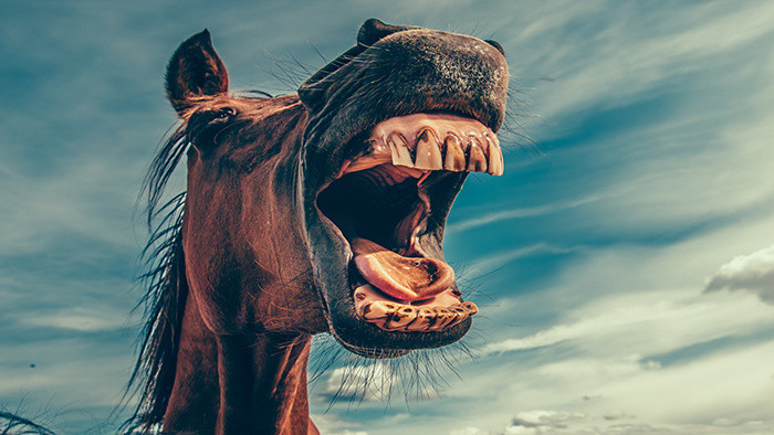 男人搞笑假装惨叫综艺语言音效