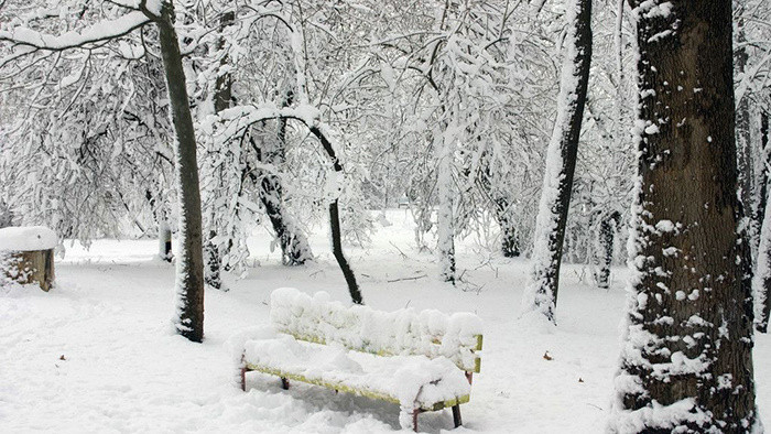 汽车陷在雪里的音效素材