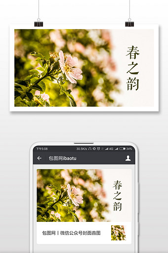 春季花朵摄影微信公众号首图图片