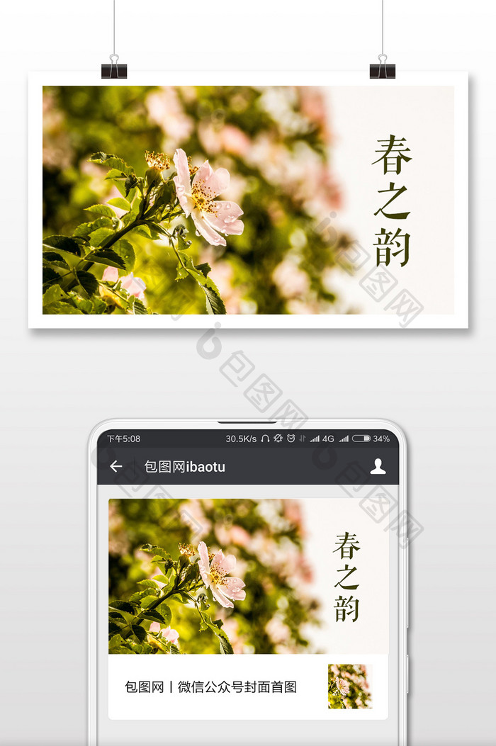 春季花朵摄影微信公众号首图