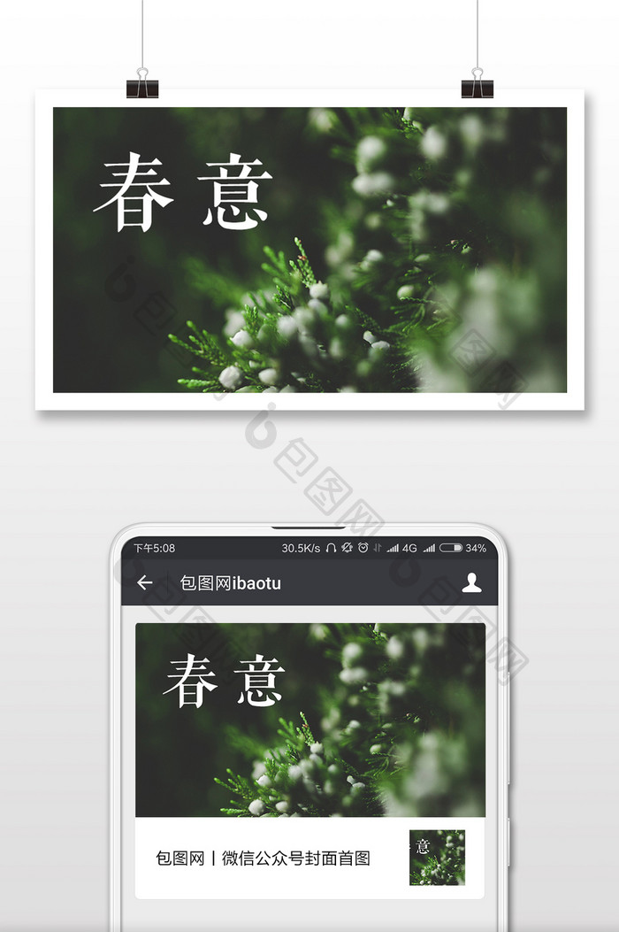 春意微信公众号首图
