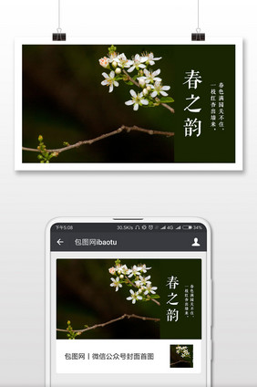 春季摄影春之韵微信公众号首图