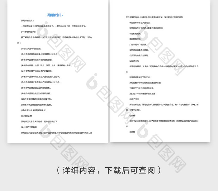 企业项目策划书Word文档模板