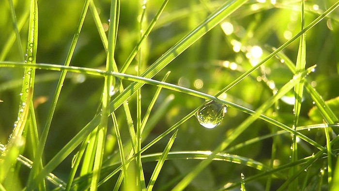 清晰的水滴入大水缸的音效素材