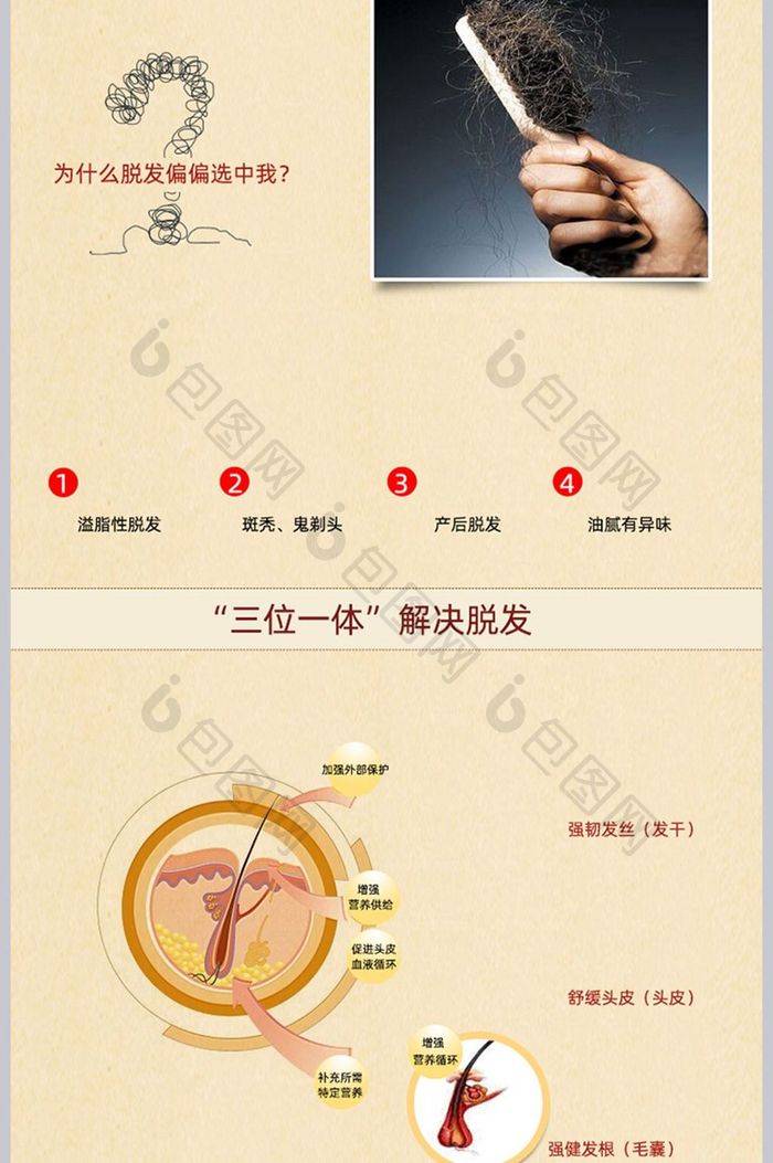 简约大气洗护产品生姜洗发水美发产品详情页