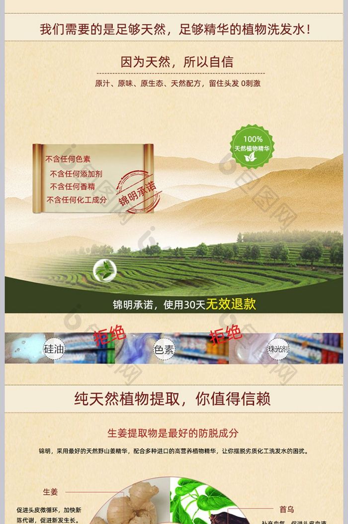 简约大气洗护产品生姜洗发水美发产品详情页