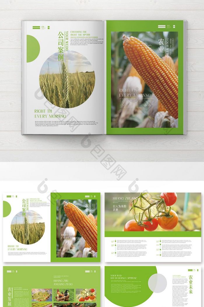 绿色小清新整套农业画册