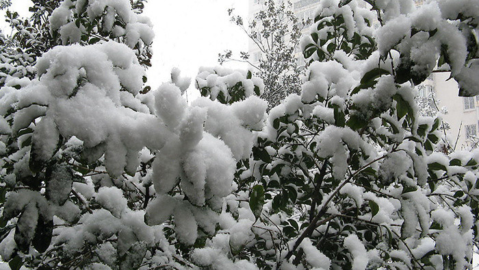 屋檐上的雪化了滴落的音效素材