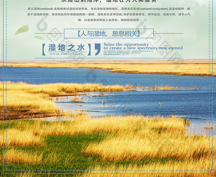 世界湿地日宣传海报设计