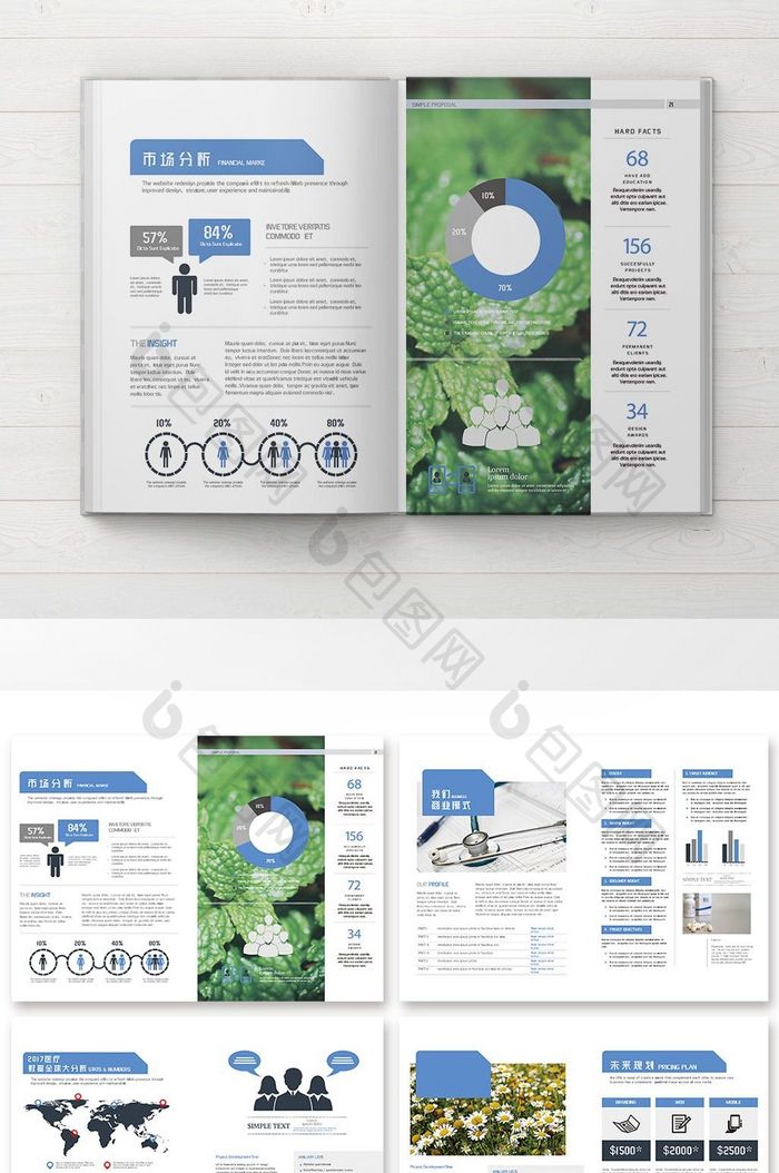 简约时尚大气高端蓝色医疗公司画册全套