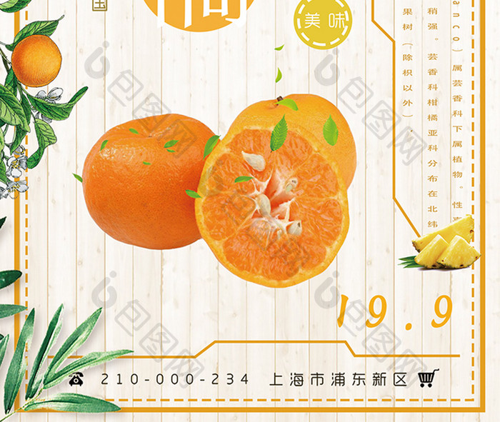 简约清新柑橘水果促销宣传设计海报