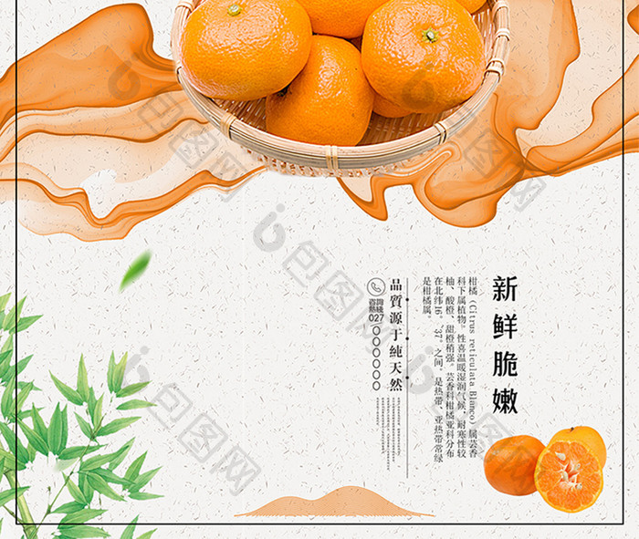 简约清新柑橘水果促销宣传海报