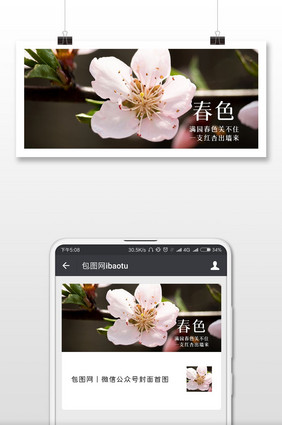 春天桃花开微信公众号首图