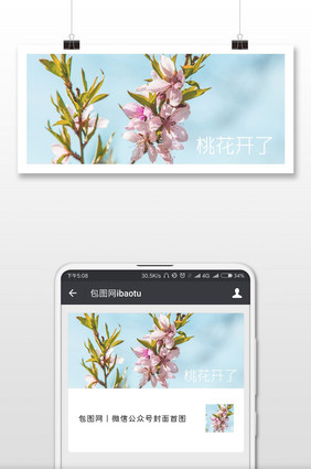 春天桃花开了微信公众号首图