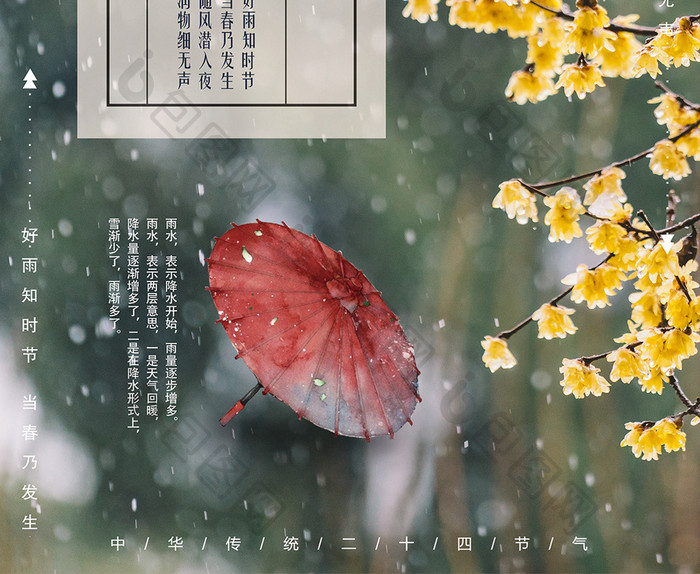 简约雨水节气海报