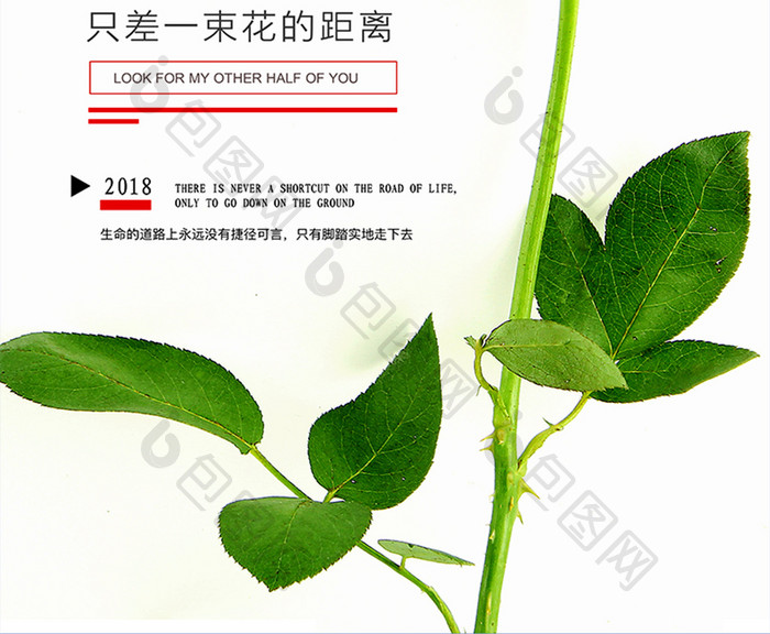 简约情人节2.14礼物海报