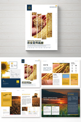 简约时尚大气高端农业公司画册整套
