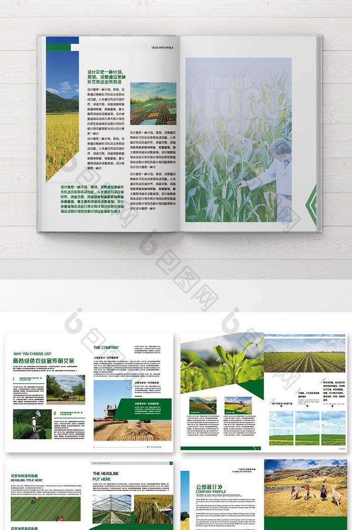 绿色高端农业公司画册整套