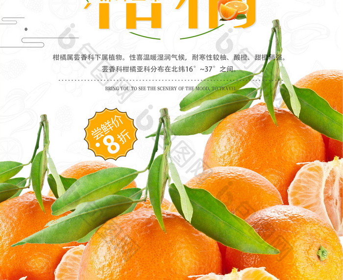 小清新大气美食新鲜柑橘海报