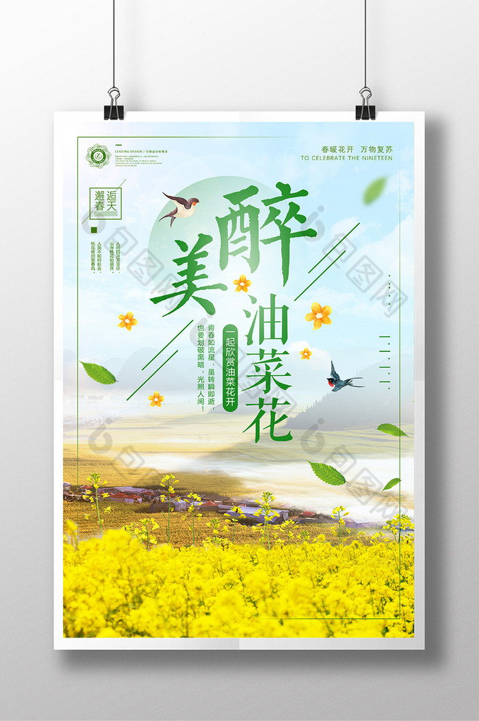 油菜花樱花节日系花海图片