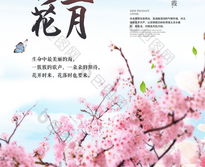 小清新春天醉美樱花节春季旅游赏花海报