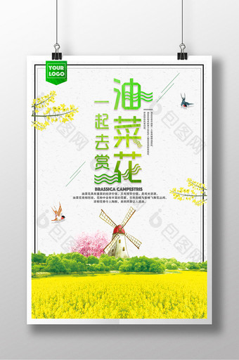 清新大气风油菜花节海报图片
