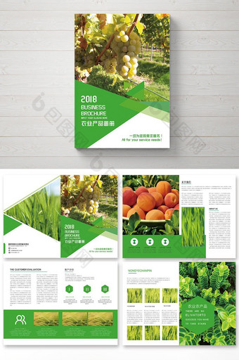 整套绿色通用农业农产品宣传画册图片