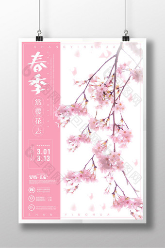 小清新春季赏樱花旅游海报图片