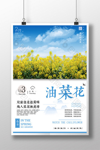 小清新春暖花开油菜花旅行社春季海报图片