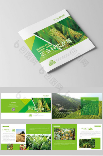 绿色食品高端农业画册整套设计图片