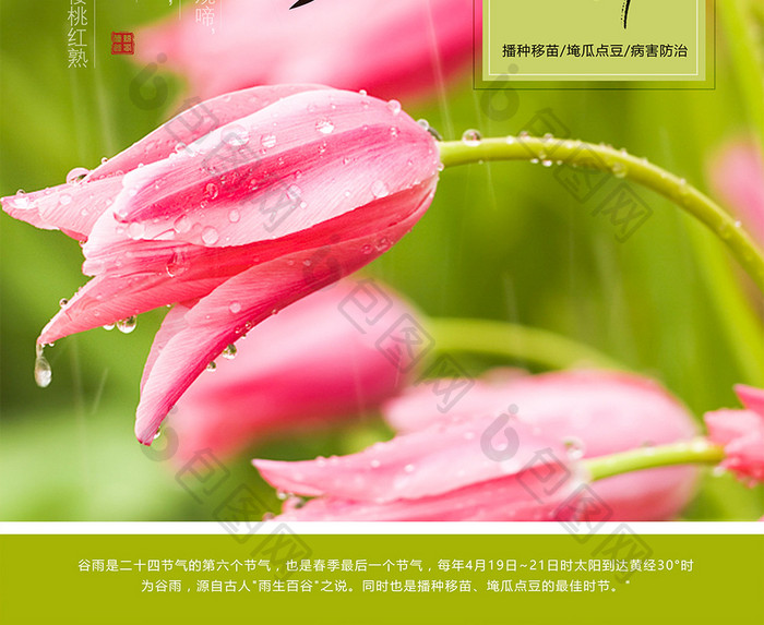 小清新谷雨传统二十四节气春天背景海报
