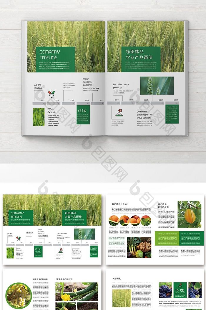 整套现代绿色农业产品画册