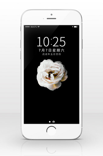 创意商业摄影白玫瑰摄影手机配图设计图片